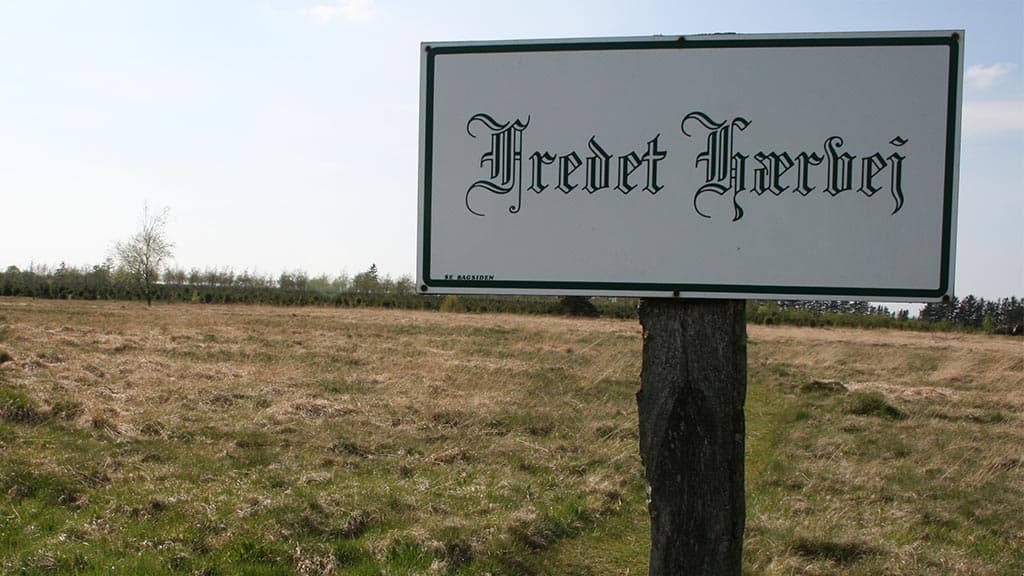 Der geschützte Ochsenweg Hærvejen, Bække