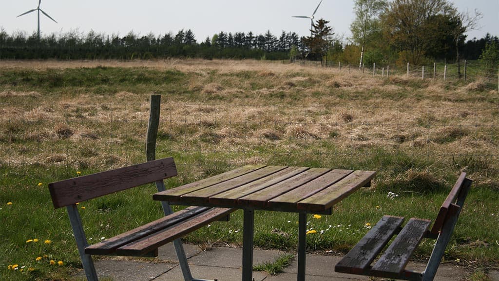 Der geschützte Ochsenweg Hærvejen, Bække