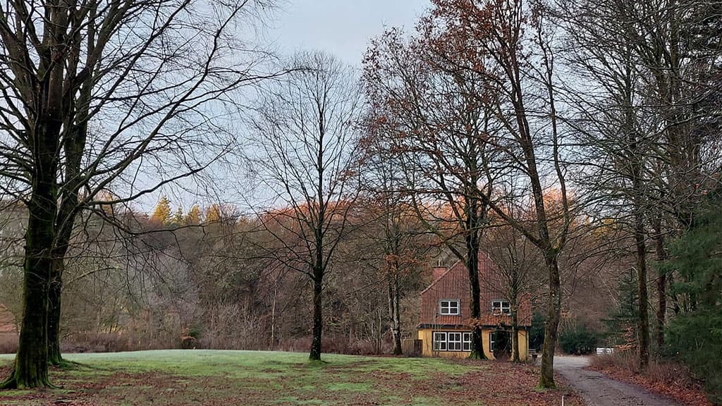 Kongsø b&b inmitten des Waldes